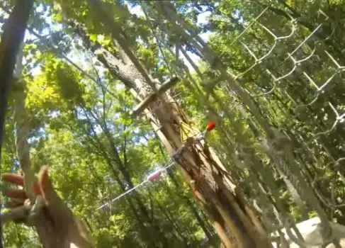 Go Ape! Treetop Adventure Course
